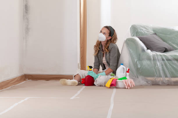 Reliable Basement Mold Removal contractor in Greenbackville, VA by WQB Mold Removal